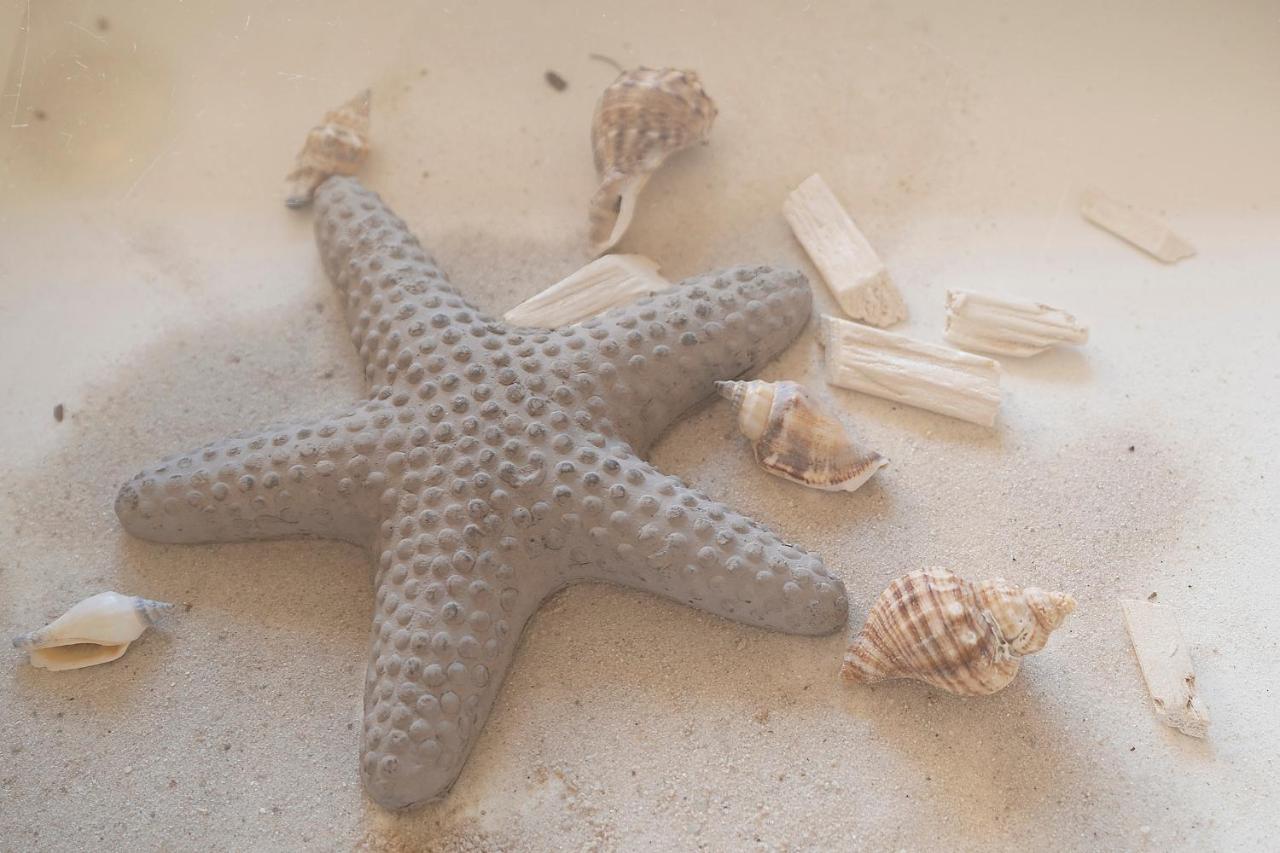 Strandfee Sommerglueck Gromitz Bagian luar foto